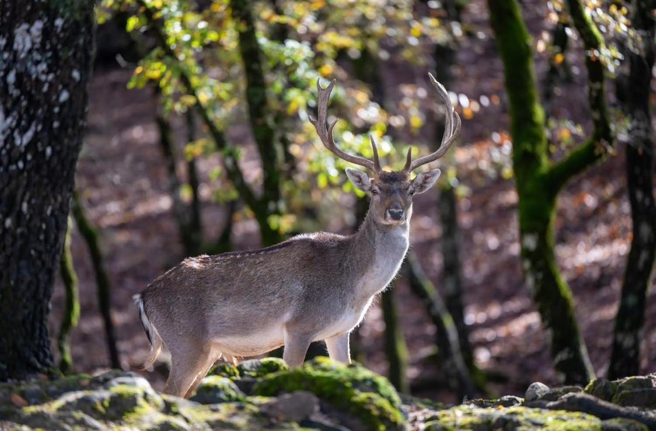 Bourazani Wild Life Resort Коница Екстериор снимка